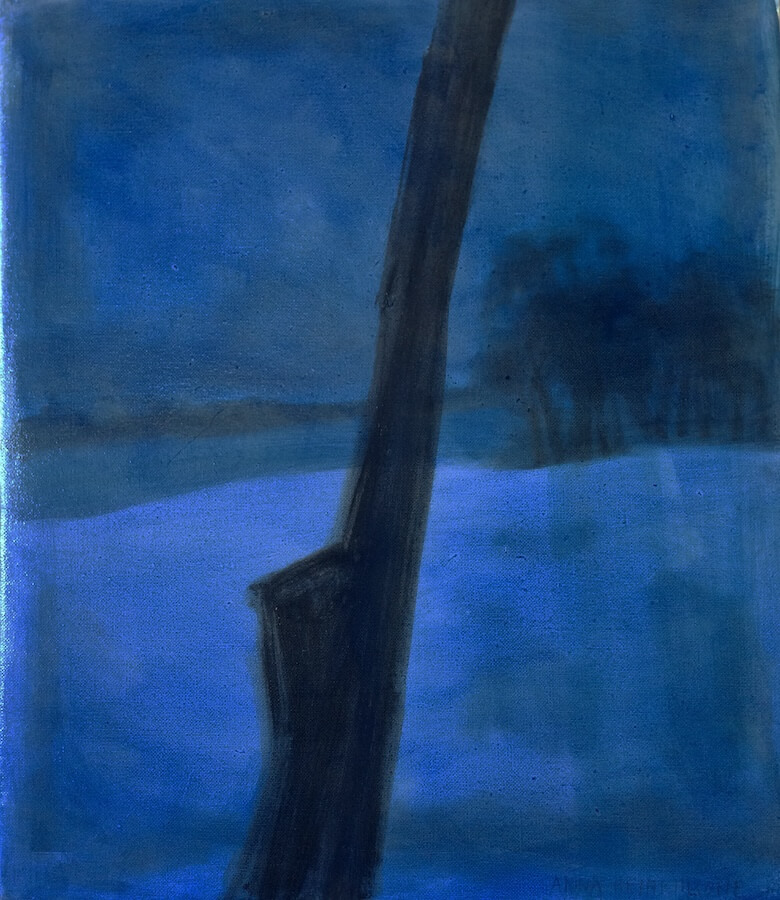 Anna Heinrihsone - Pikniks ar polaroidu - Ābele