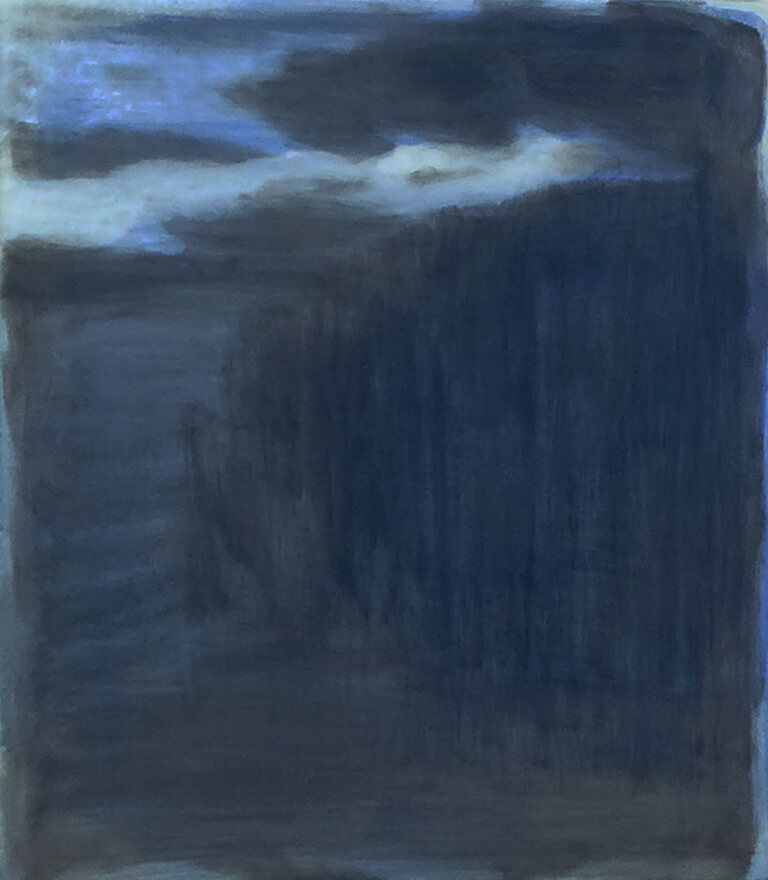 Anna Heinrihsone - Pikniks ar poloroidu - Upe